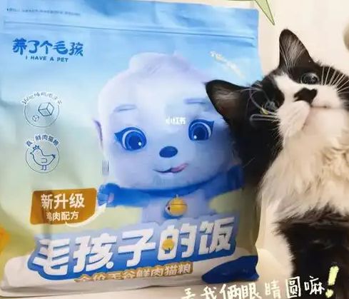 口粮！三只松鼠靠什么重返宠物食品赛道pg电子游戏网站零食巨头盯上毛孩子(图4)