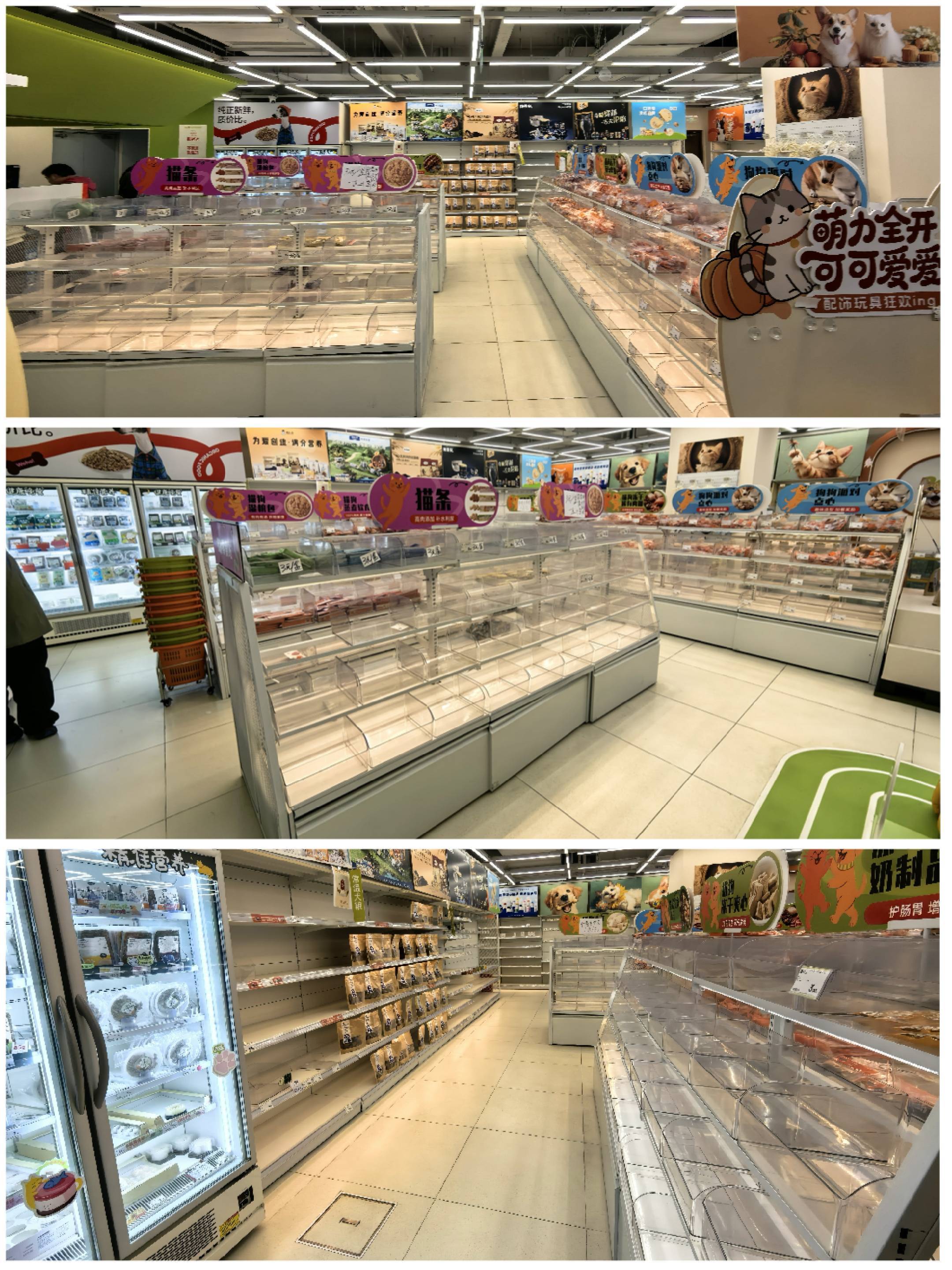 品牌“宠天天”：正清仓甩卖派特鲜生库存pg电子娱乐平台实探盒马前CEO侯毅新