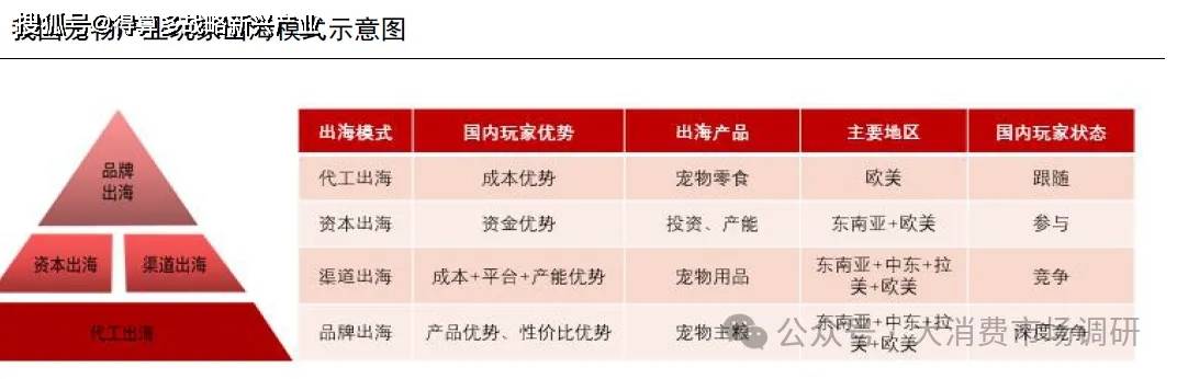 外出口市场的四种模式分析（30页报告）pg电子中文模拟器我国宠物产业开拓海(图4)