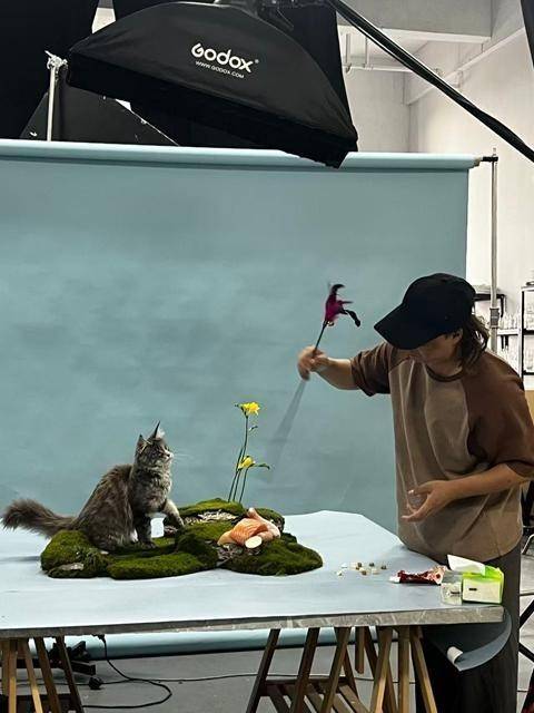 动物“逐梦演艺圈”pg电子平台他们带(图2)