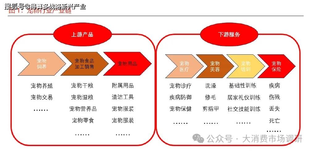 现状与驱动因素分析（15页报告）pg电子