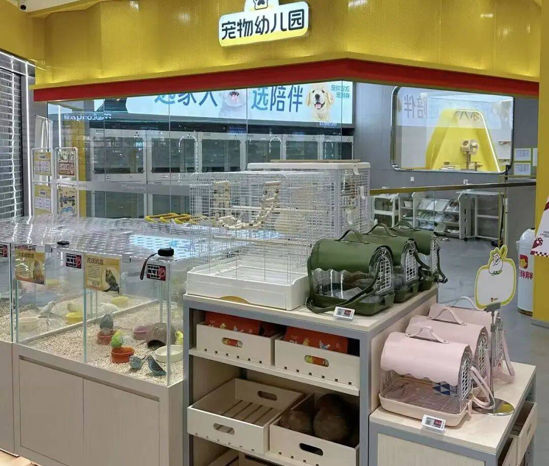 单！毛孩子也有新年三件套pg电子免费模拟器游戏爆