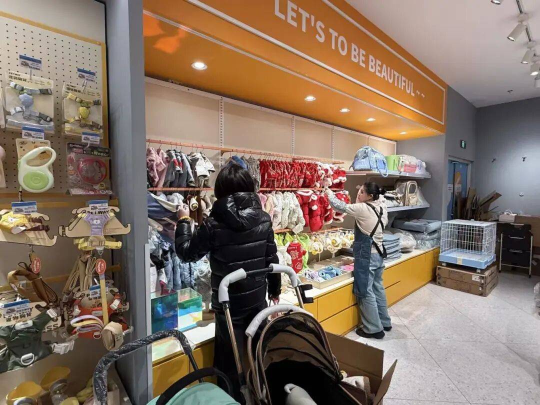 单！毛孩子也有新年三件套pg电子免费模拟器游戏爆(图4)