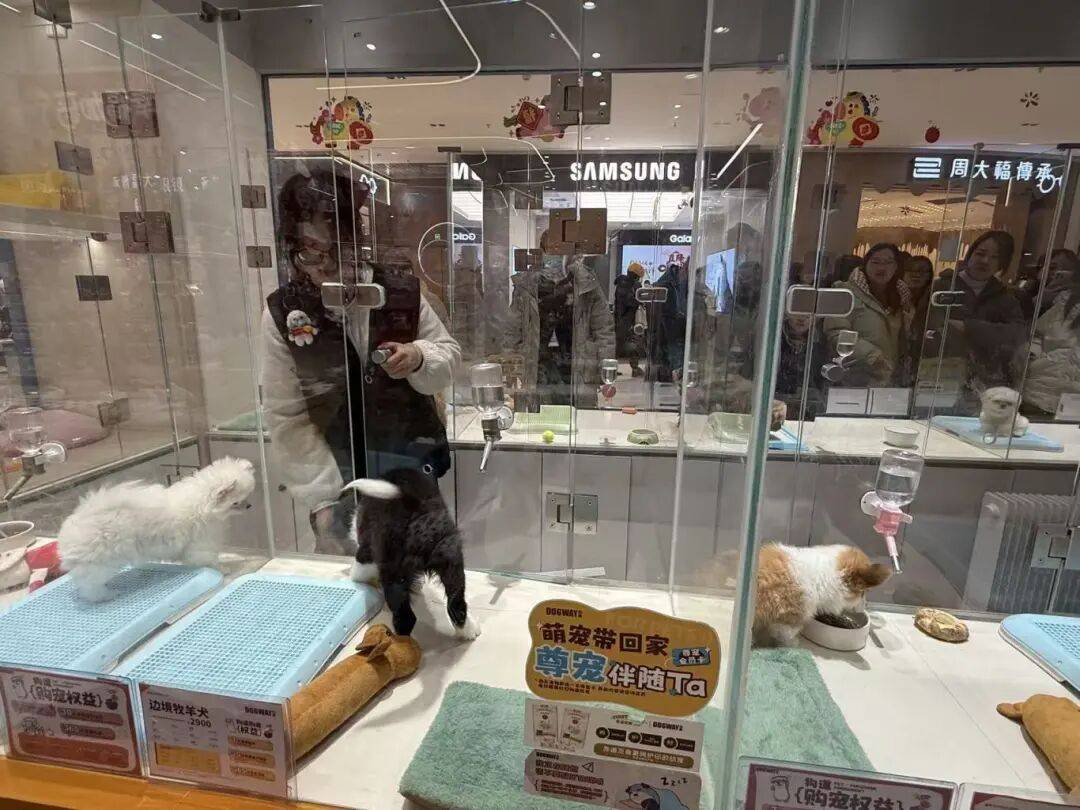 单!毛孩子也有新年三件套pg电子免费模拟器游戏爆(图8) 单!毛孩子也有新年三件套pg电子免费模拟器游戏爆(图8)