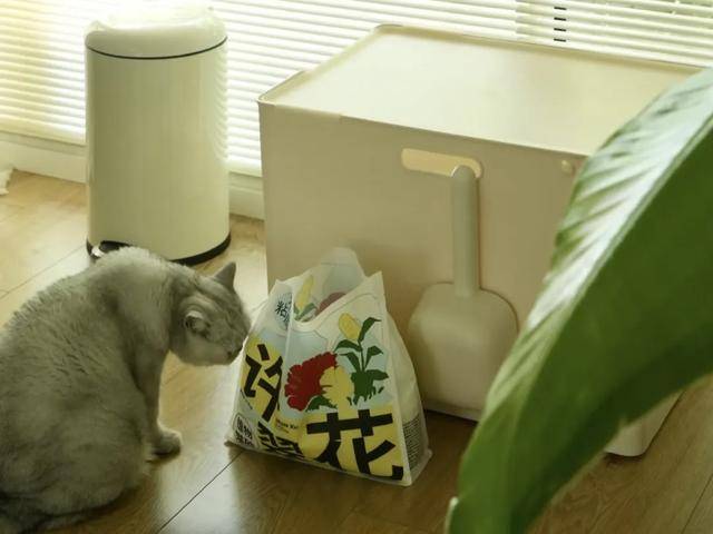 市场赵露思、陈冠希纷纷加入pg模拟器3000亿猫狗大(图8)